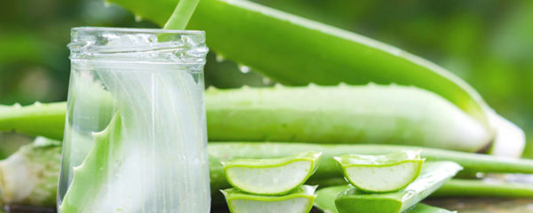 Produits d'aloe vera