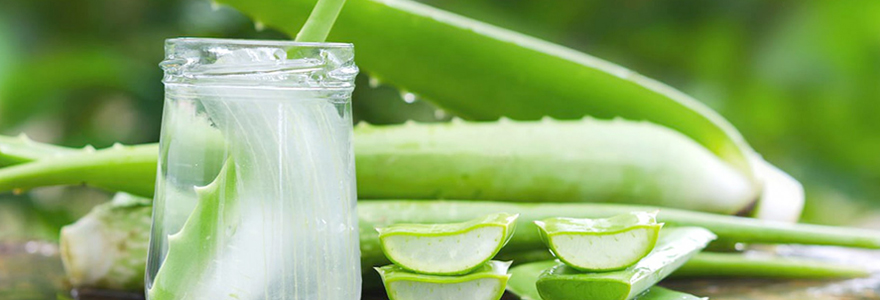 Produits d'aloe vera